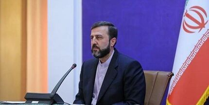 غریب آبادی: پرچم دفاع از حقوق بشر را دشمنان اصلی آن بلند کرده‌اند