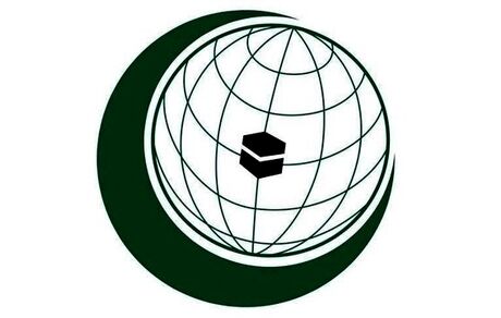 سازمان همکاری اسلامی: شهرک‌سازی، نقض آشکار حقوق فلسطینیان است