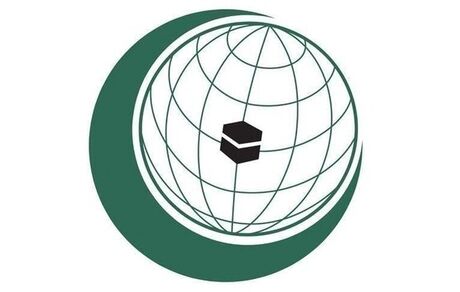 سازمان همکاری اسلامی: شهرک‌سازی، نقض آشکار حقوق فلسطینیان است