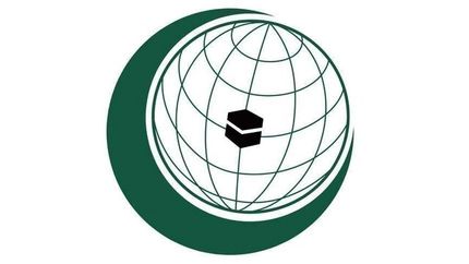 سازمان همکاری اسلامی: شهرک‌سازی، نقض آشکار حقوق فلسطینیان است
