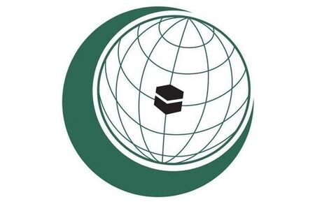 سازمان همکاری اسلامی: شهرک‌سازی، نقض آشکار حقوق فلسطینیان است
