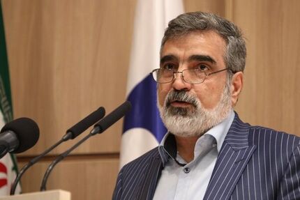 سخنگوی سازمان انرژی اتمی ایران: در حال مذاکره با روسیه در مورد توسعه فاز ۲ و ۳ نیروگاه اتمی بوشهر هستیم