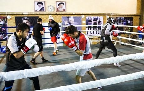 اردوی تیم ملی بوکس هفته آینده برگزار می‌شود