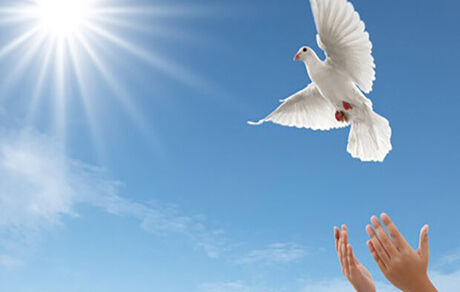 نجات قاتل از قصاص بعد از ۱۸ سال
