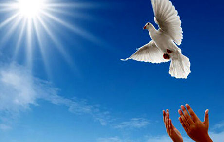 نجات قاتل از قصاص بعد از ۱۸ سال