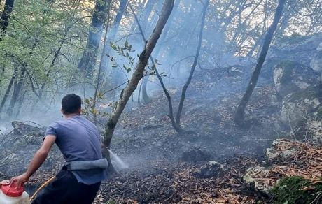 مهار آتش سوزی جنگل‌های تنکابن