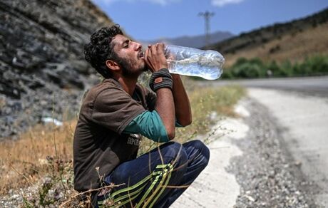 کمک بشردوستانه ۲ میلیون دلاری نیوزیلند به افغانستان