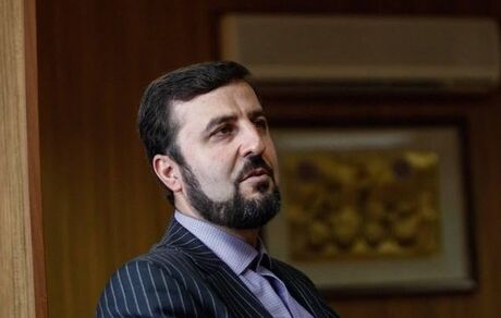 غریب آبادی: زندانی دوتابعیتی نداریم/ممنوع الورودی نداریم
