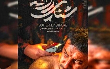 «شنای پروانه» از فردا در خانه ها