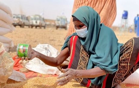 اختصاص ۴۳۰ میلیون یورو برای مقابله با گرسنگی جهانی