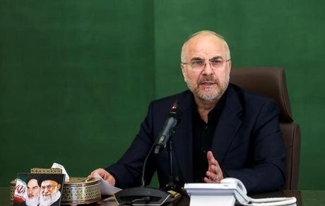 مجلس و دولت باید در کنار هم مشکلات را حل کنند