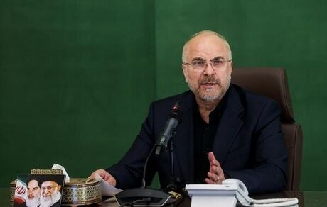 مجلس و دولت باید در کنار هم مشکلات را حل کنند