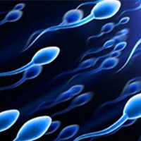 کرونا و تاثیرات منفی آن بر کیفیت اسپرم‌ها