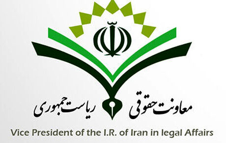 آغاز بررسی لایحه صیانت، کرامت و تامین امنیت بانوان در برابر خشونت در کمیسیون اصلی لوایح دولت