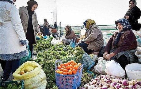 انتصاب زنان در پست‌های مدیریتی وزارت جهاد کشاورزی بیشتر می‌شود