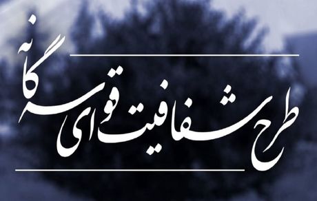 رفع ایرادات شورای نگهبان به طرح شفافیت قوای سه‌گانه در دستور کار بهارستان