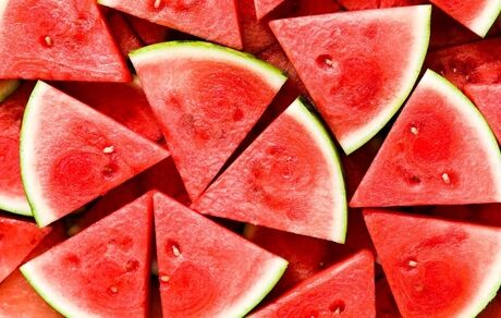 عرضه بیش از ۱۷۰ هزار تن هندوانه پاییزی برای شب یلدا