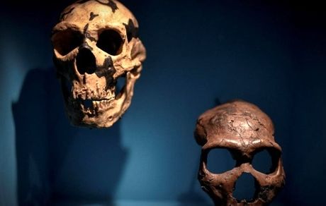 بیماری مشترک انسان و دام از ماقبل تاریخ وجود داشته است
