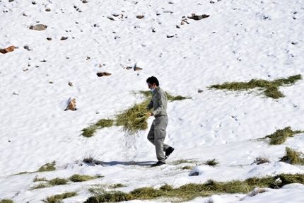 کمبود علوفه و تلف شدن دام عشایر در اردبیل/راه ۲۸۵ روستا مسدود است