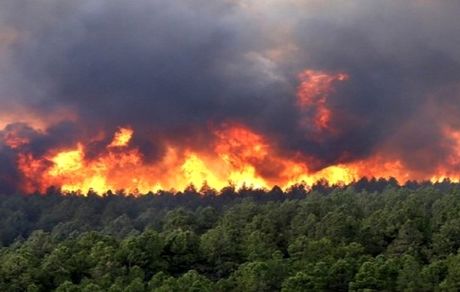 ادامه آتش سوزی در جنگل های مریوان