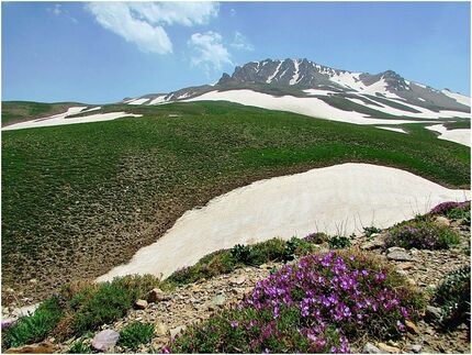 بوزلو سینه، ارتفاعاتی با اکسیژن خالص