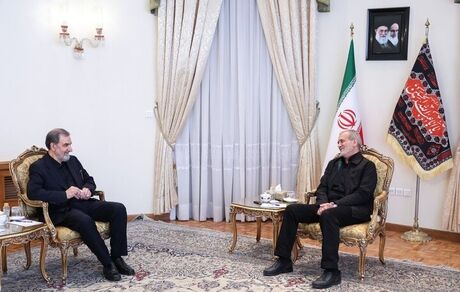 محسن رضایی با رئیس جمهور منتخب دیدار کرد