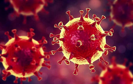 آمار سیزده اسفند کرونا در ایران: ۲۸۶ بیمار و ۱۱ فوتی جدید