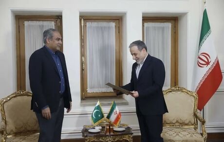 در دیدار عراقچی با وزیر کشور پاکستان، پیام نخست‌وزیر این کشور به رهبر معظم انقلاب تحویل شد