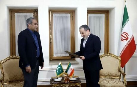 در دیدار عراقچی با وزیر کشور پاکستان، پیام نخست‌وزیر این کشور به رهبر معظم انقلاب تحویل شد