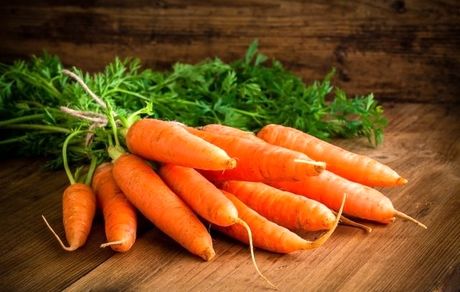 هویج ارزان می شود؟