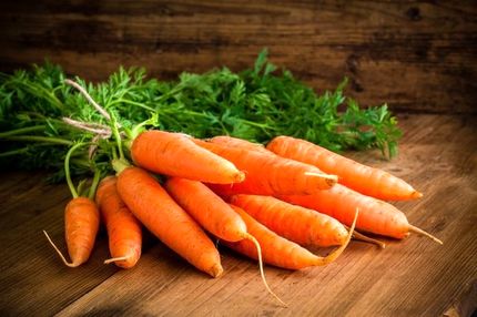 هویج ارزان می شود؟