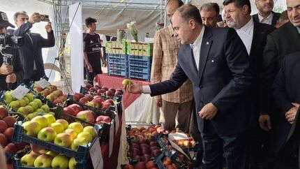 آغاز چهارمین جشنواره سیب دماوند