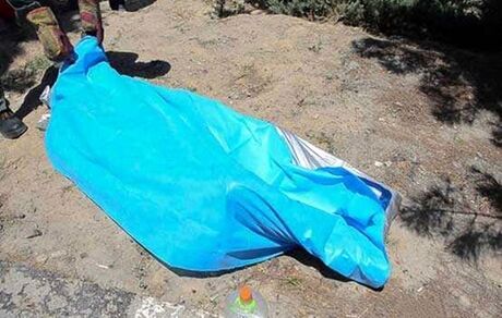 قتل برادر در تفرش بدلیل اختلاف مالی