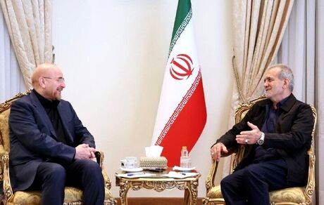 دیدار رئیس مجلس با رئیس جمهور منتخب