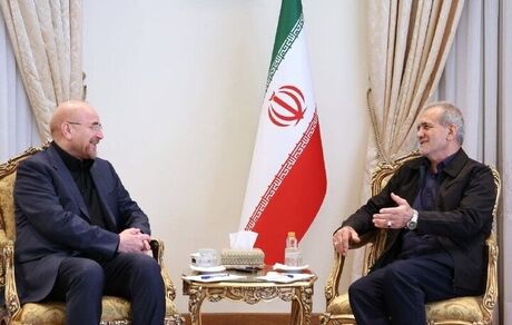 دیدار رئیس مجلس با رئیس جمهور منتخب