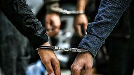 قرار دادن اطلاعات مجرمان حرفه‌ای، خطرناک و سابقه‌دار در اختیار ناجا