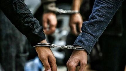 قرار دادن اطلاعات مجرمان حرفه‌ای، خطرناک و سابقه‌دار در اختیار ناجا