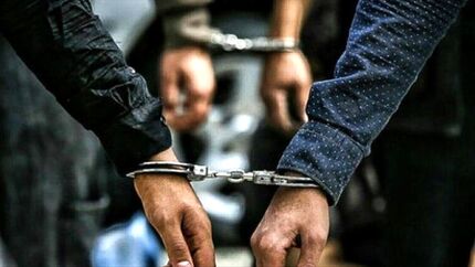 قرار دادن اطلاعات مجرمان حرفه‌ای، خطرناک و سابقه‌دار در اختیار ناجا