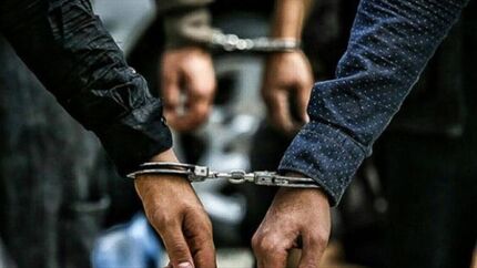 قرار دادن اطلاعات مجرمان حرفه‌ای، خطرناک و سابقه‌دار در اختیار ناجا