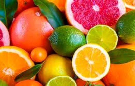 محدودیتی در صادرات مرکبات نداریم