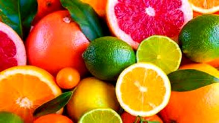 محدودیتی در صادرات مرکبات نداریم