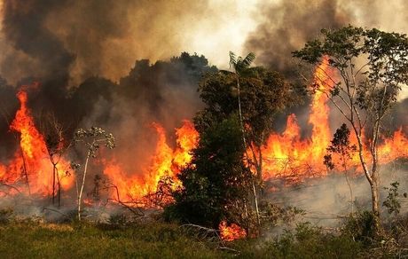 پیش‌بینی افزایش آتش‌سوزی‌های ناشی از خشکسالی در جنگل‌های زاگرسی خوزستان