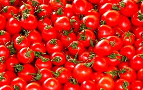 برای حل مشکل گوجه فرنگی، ۳ ماه صبر کنید