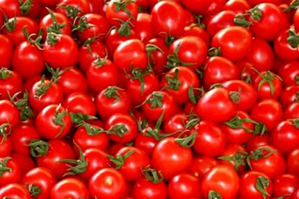 برای حل مشکل گوجه فرنگی، ۳ ماه صبر کنید