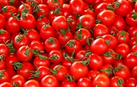 برای حل مشکل گوجه فرنگی، ۳ ماه صبر کنید