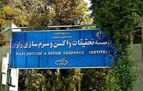 موسسه رازی یکی از ۳۷ واکسن‌ساز برتر جهان