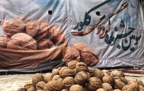چهارمین جشنواره ملی گردو در کلور شهرستان خلخال برگزار خواهدشد