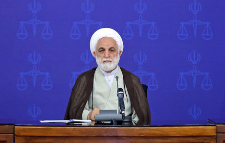 محسنی اژه‌ای: از عملکرد و لغزش یک قاضی دلم به درد آمد