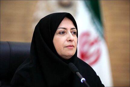 رئیس سازمان حفاظت محیط زیست: تخریب جنگل‌های الیمالات به صورت جدی پیگیری می‌کنم