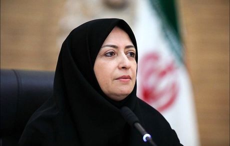 رئیس سازمان حفاظت محیط زیست: تخریب جنگل‌های الیمالات به صورت جدی پیگیری می‌کنم